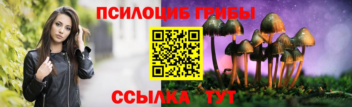 Галлюциногенные грибы ЛСД  Вход с VPN  где найти   Бийск 