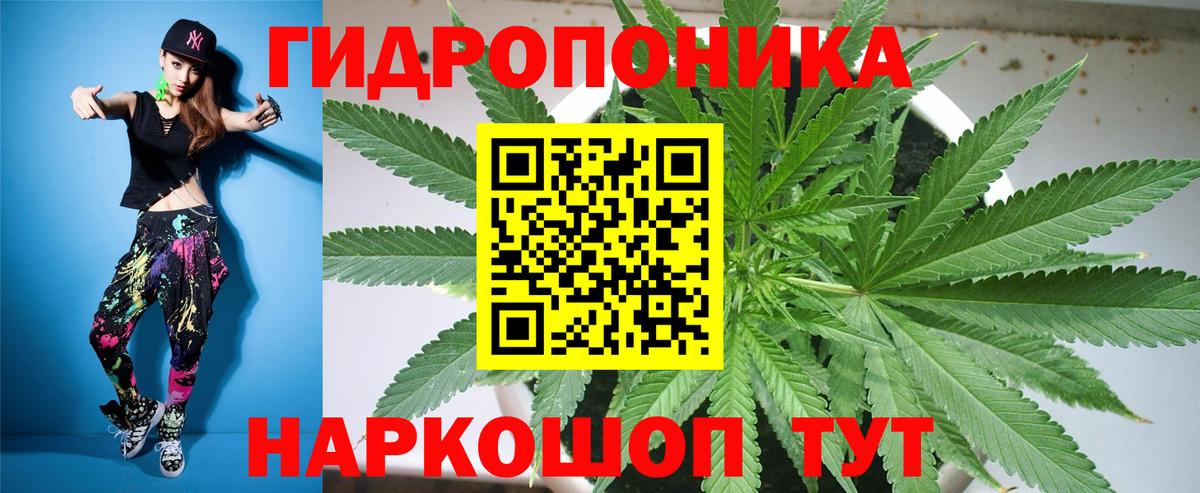 Марихуана ГИДРОПОН  Шишки марихуана OG Kush  Каннабис план  Бийск  Вход с VPN  МАРИХУАНА планчик 